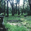 대박P게임 이미지