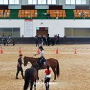 본마사동 이미지