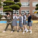빅토리 Daum카페