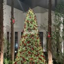 라베니체6차 화장실 | 김포 라베니체 근처 늦게까지 하는 카페 찾다가 발견한 &#39;언캐니&#39; 김포 솔직 후기