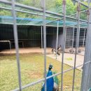 하늘빛 | 🌷 봄날의 힐링 여행, 하늘빛수목정원 튤립축제 다녀온 후기