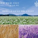 제주메밀영농조합법인 이미지