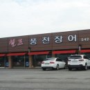 셀프장어 이미지