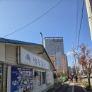 낙천집 | 청초호 근처 맛집 낙천회관 방문 솔직 후기