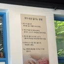 관저병수손만두