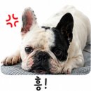 김**(단독주택) | 40년된 노후 단독주택 리모델링 후기 #2｜철거, 배관설비
