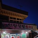 악양뚝방오리 이미지