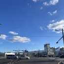 세진펜션 | 제주 서귀포 [스테이디앤디 풀빌라앤리조트] 1박에 6만 원대인 펜션 내돈내산 솔직후기