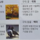 부평길주 이미지