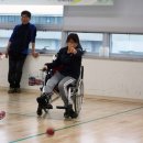 피닉스클럽 이미지