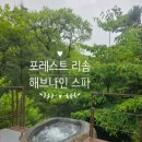 인생 스파 등극! 제천 포레스트 리솜 해브나인 웰니스 스파, 직접 가보니… (ft. 리얼 꿀팁 대방출!)