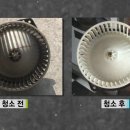 김민권프로광택