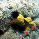 백운포로 이미지