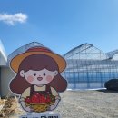 다은이 농장 이미지