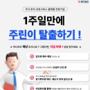 링크에셋 | 주식공부의 기준을 바꾸다, 레드에셋 서비스 사용 후기