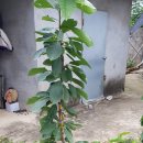 별샘농장 이미지