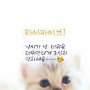 해피 이미지