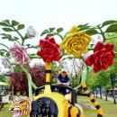 기차마을 장미공원 이미지