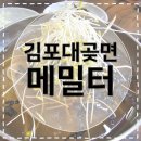 [김포맛집] 메밀터 시원한 메밀막국수 내돈내산 후기