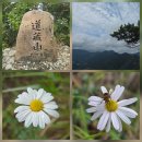 심원사 입구 | 도장산 (2025 0914)