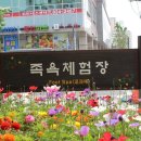 유성 족욕체험길 이미지