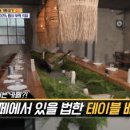 원시로2 이미지