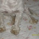 외동사거리　 이미지