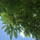 서원숯불구이 이미지