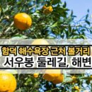 제주 가볼만한곳 제주 함덕 해수욕장 서우봉 둘레길 이미지