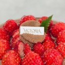 캐슬가든 | 부산 빵집 / 부산역 빵집 빅토리아베이커리가든 캐슬직영점 내돈내산 후기