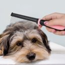 김해 동물병원 이미지