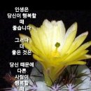 현대직업소개소 이미지