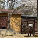 인천대공원(어린이동물원) 이미지