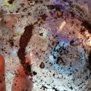 (주)애사랑 이미지