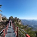 출렁다리(5) 이미지