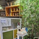 진안군청 이미지