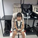아이진 | 주니어 카시트 추천 | 시크 아이진2 한달 사용후기 [내돈내산]