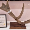 맘앤키즈한의원 이미지