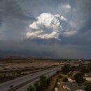 월드목장 이미지