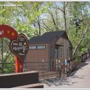 산림욕장 이미지