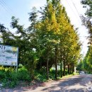 양촌마을 | [충청남도 논산시] 논산양촌곶감축제