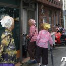 파마하는날 이미지