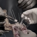 예은동물의료센터 이미지