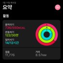 도그라움 이미지