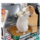 덩어리 이미지