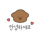 펫마트 홍성점 이미지