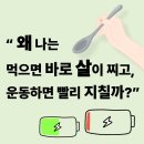 피트니스 벨 네이버블로그