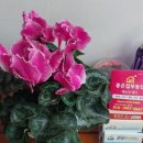 수도부동산중개컨설팅 이미지