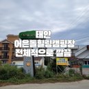 어은돌야영장 | 태안 어은돌힐링캠핑장 C구역 내돈내산, 전반적으로 깨끗한 캠핑장