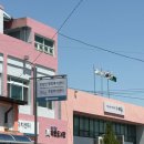 별이반점 이미지